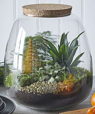 christmas terrarium with mini christmas tree