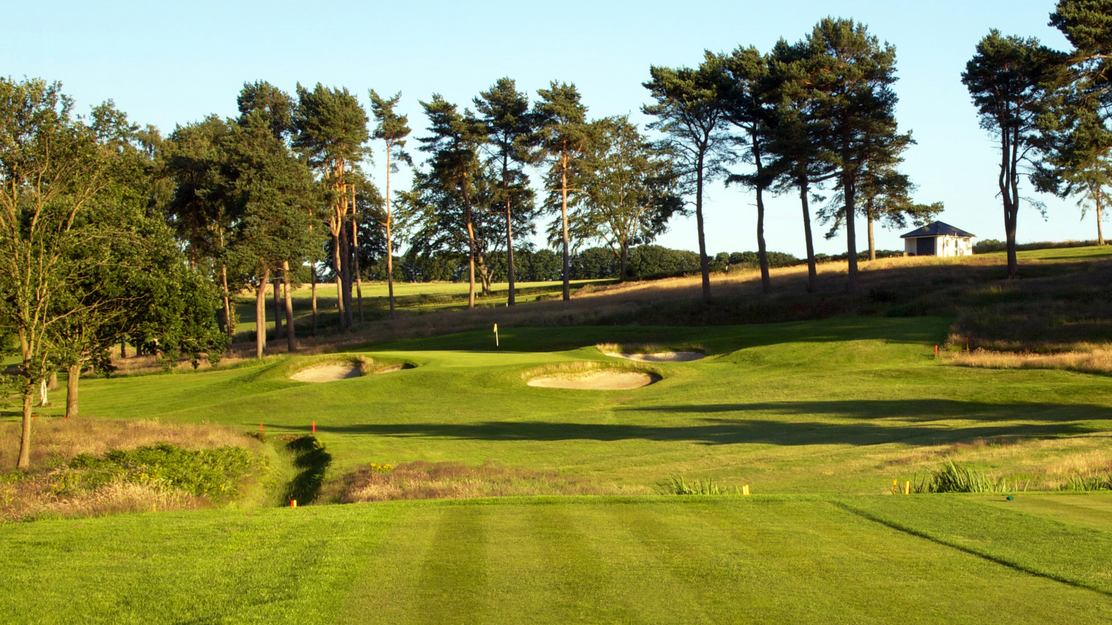 Sane Moor - Hole 15