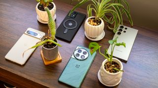 A Google Pixel 8 Pro, Samsung Galaxy S24 Ultra, OnePlus 12, and Motorola Edge Plus 2023 alongside some plants