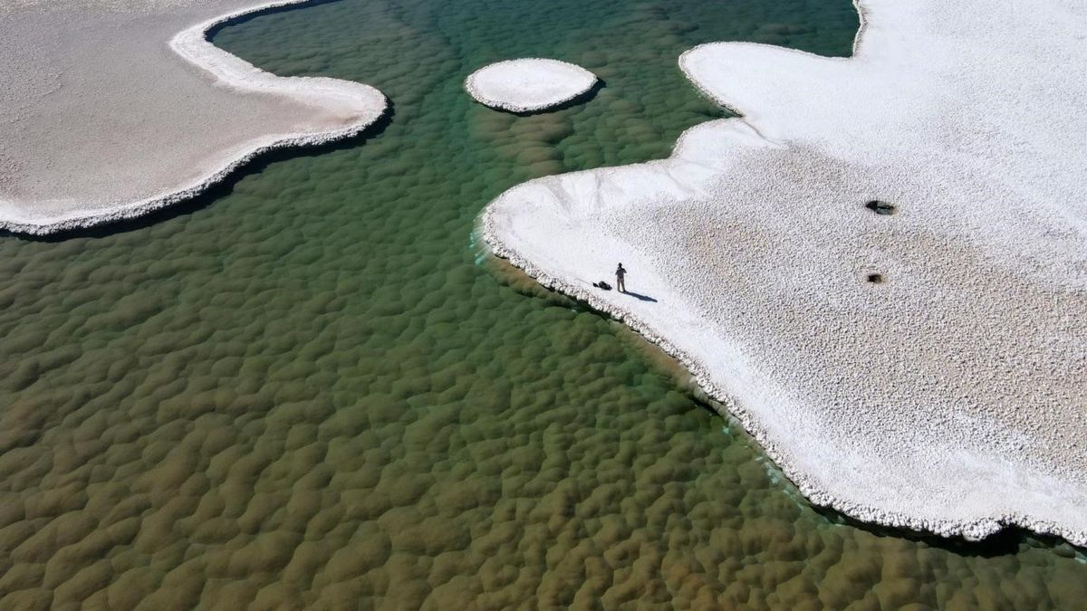 An aerial picture of the lagoon and surrounding salt plain with microbial mounds visible beneath the water surface.