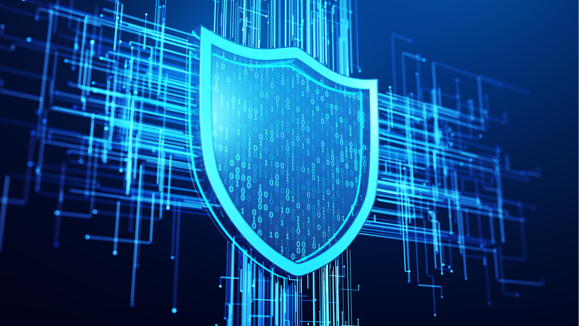 A stylized image of a blue shield representing digital security