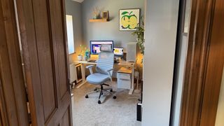 Pictures of the Branch Office chair.