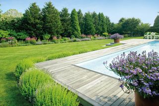pool landscaping ideas with english meadow planting around the side of a pool