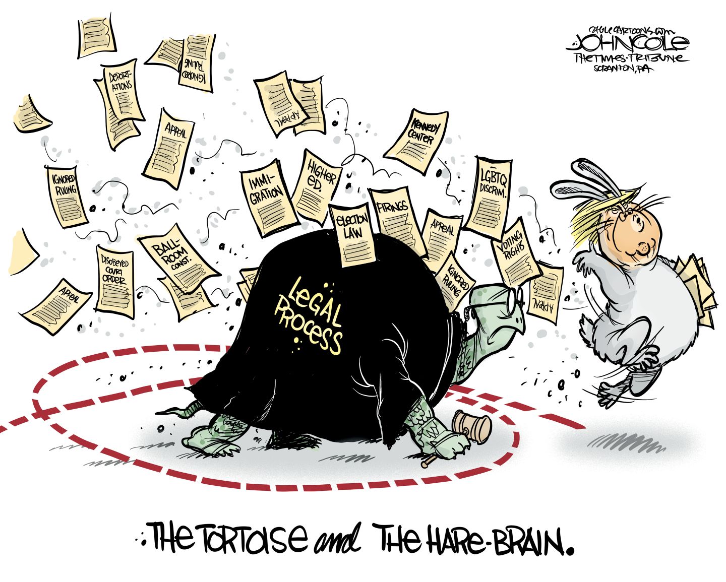 
                                Political Cartoon
                            
