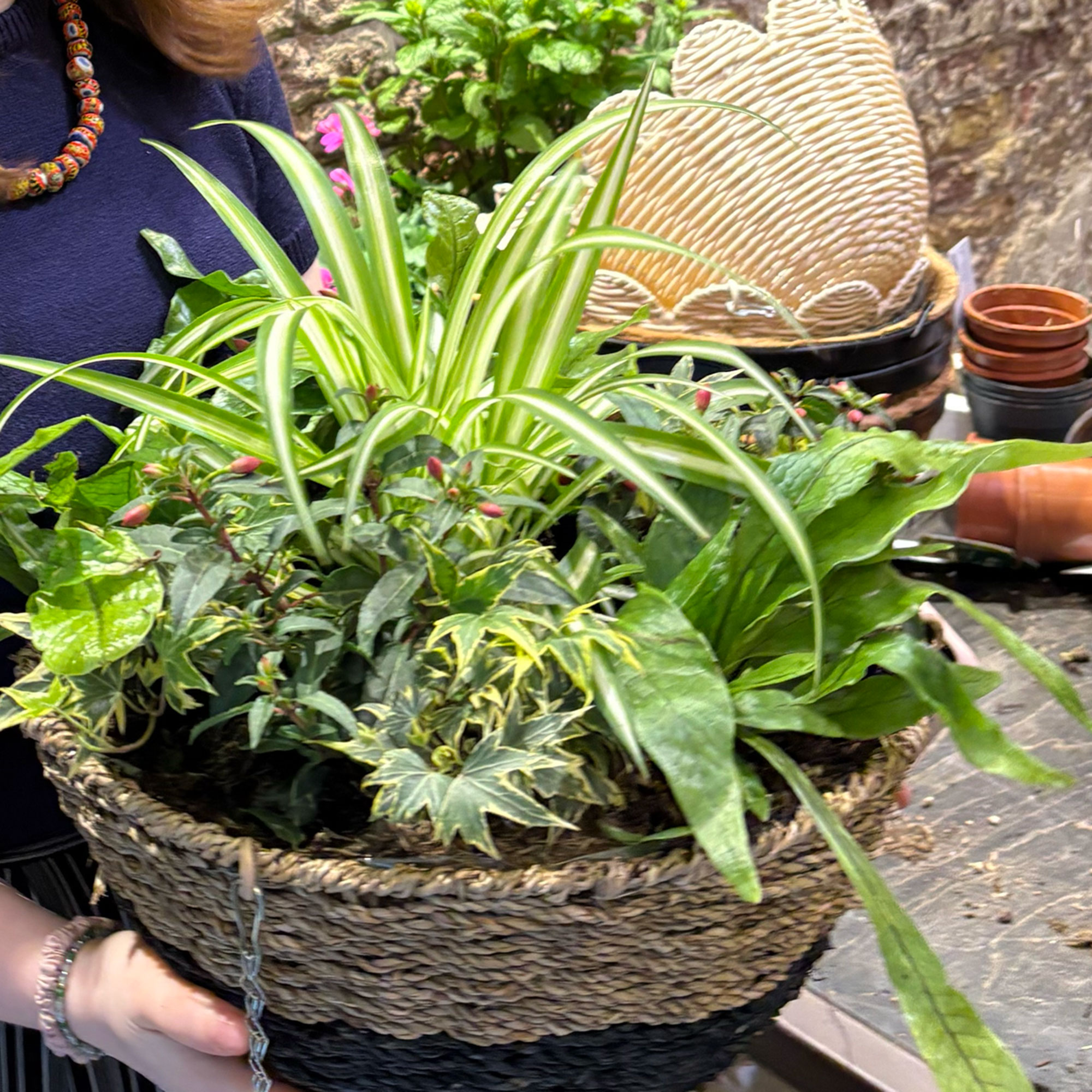 Hanging basket with ferns, fuschia and spider plant