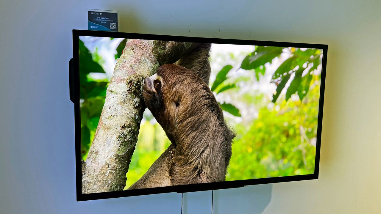 Sony FW-32BZ30J on wall, with sloth on the screen