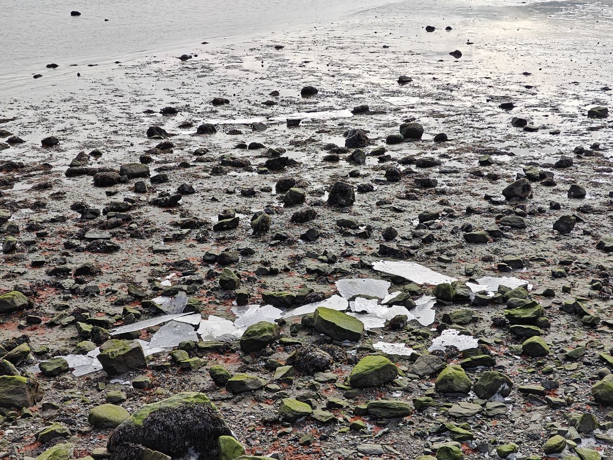 Sample photos taken with OnePlus 11