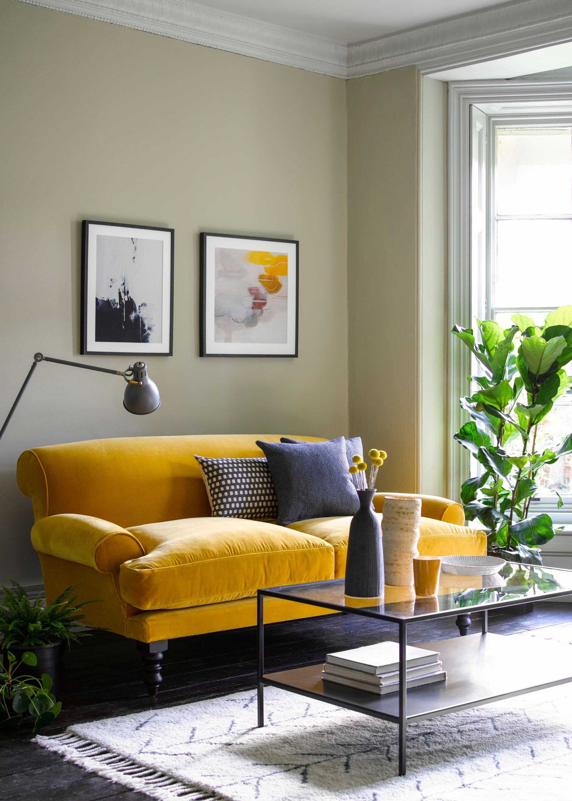 period home living room with neutral walls, mustard velvet sofa, glass coffee table, large plant by the bay window