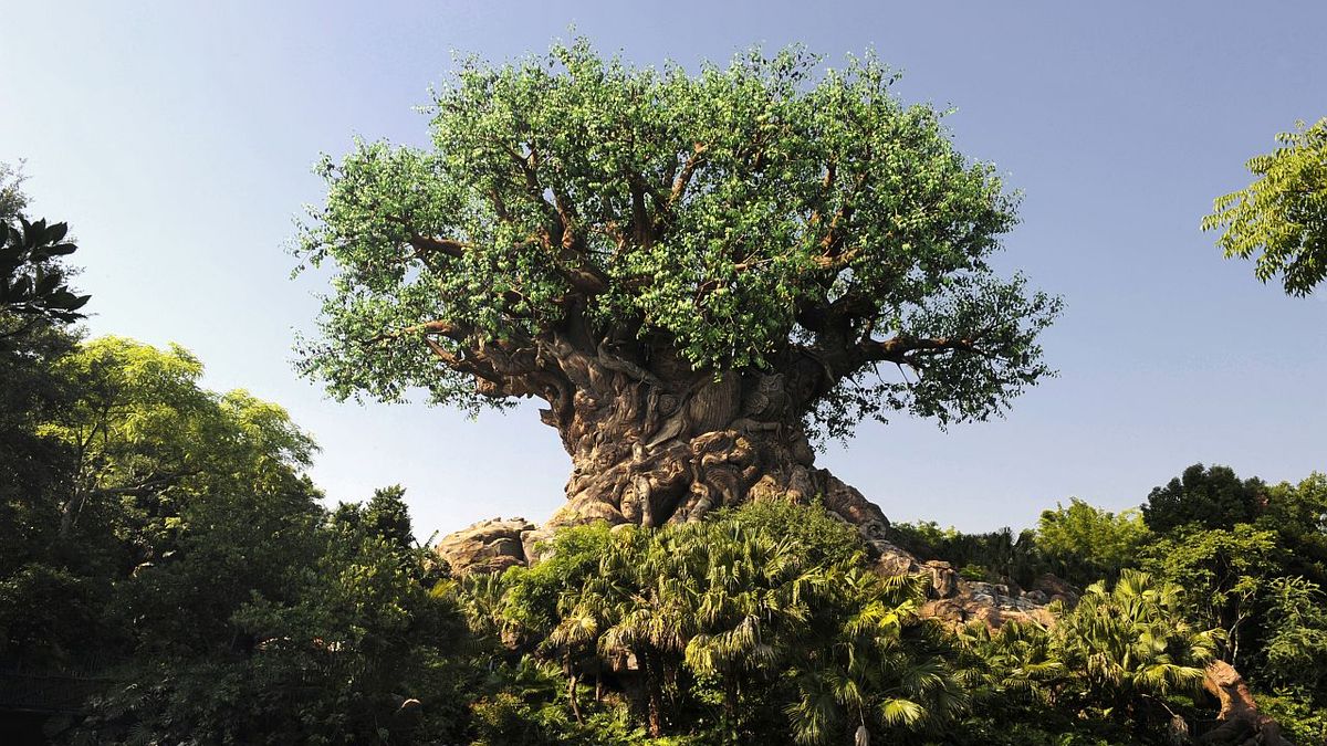 Tree of Life at Disney&#039;s Animal Kingdom