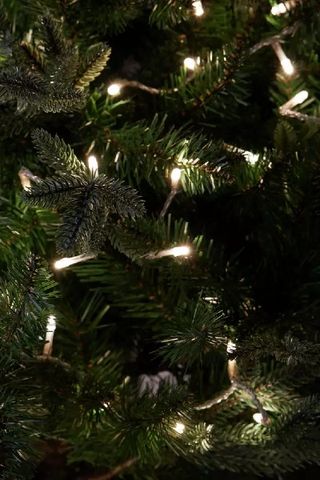 Habitat 500 Warm White LED Christmas Tree Lights 
