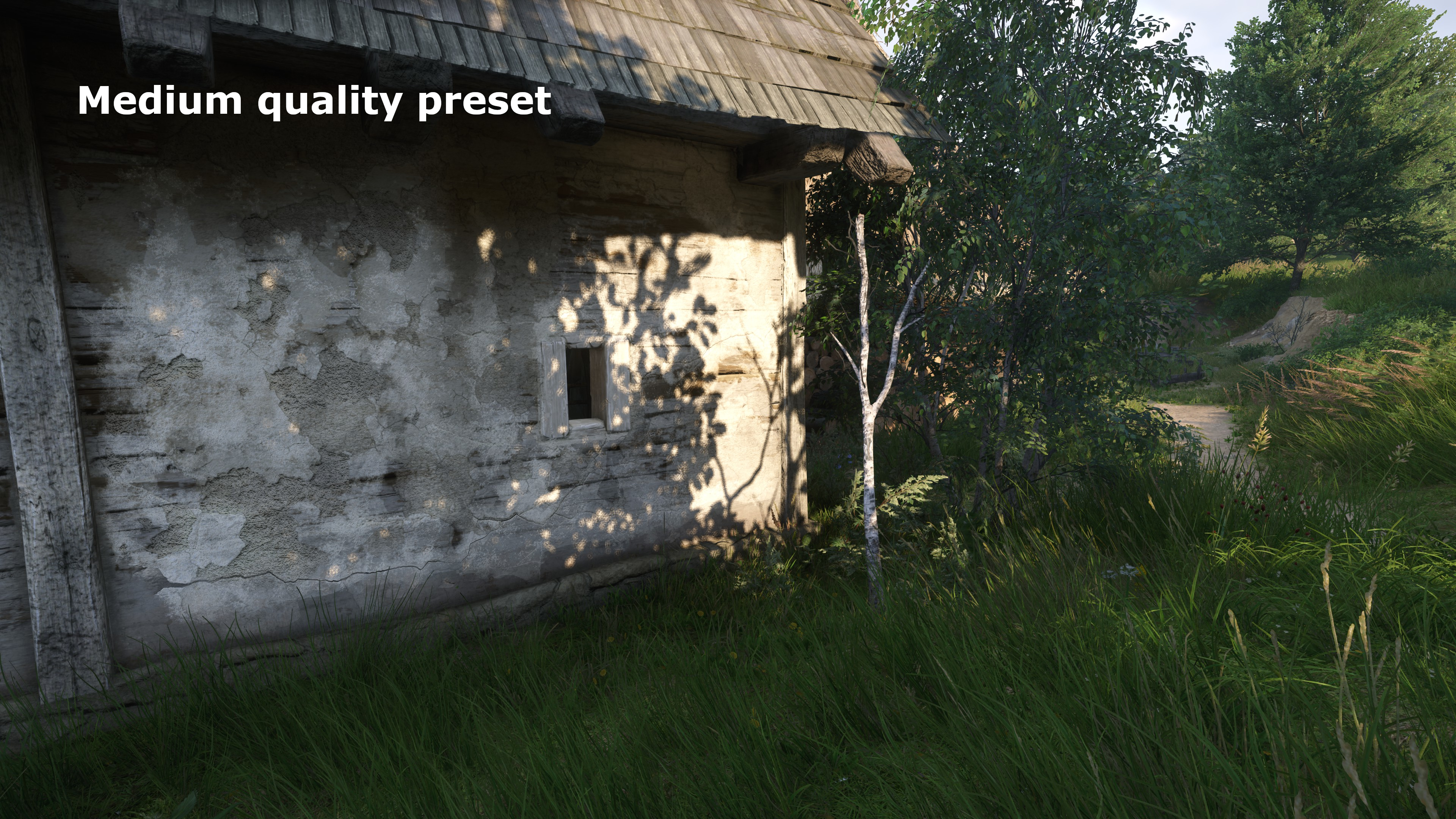 A screenshot from Kingdom Come: Deliverance 2 showing the graphics using the Medium quality preset