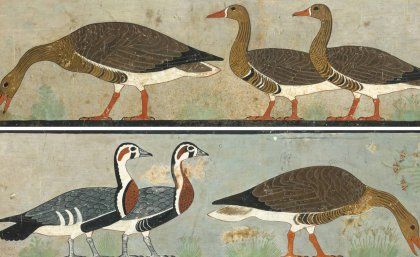 &quot;Meidum Geese&#039; was found in the Chapel of Itet in the tomb of Nefermaat and Itet.