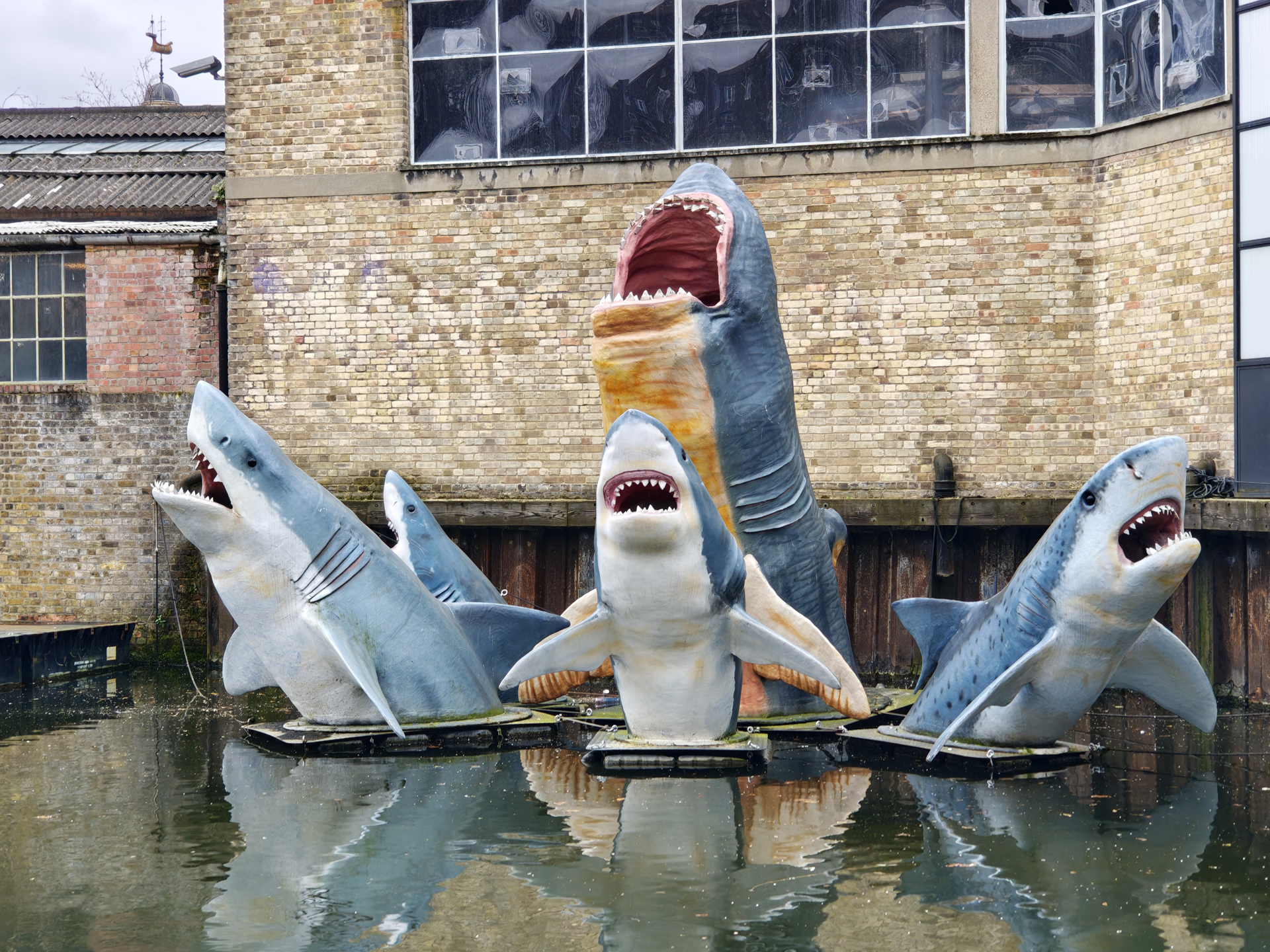 Xiaomi 17 sample photos