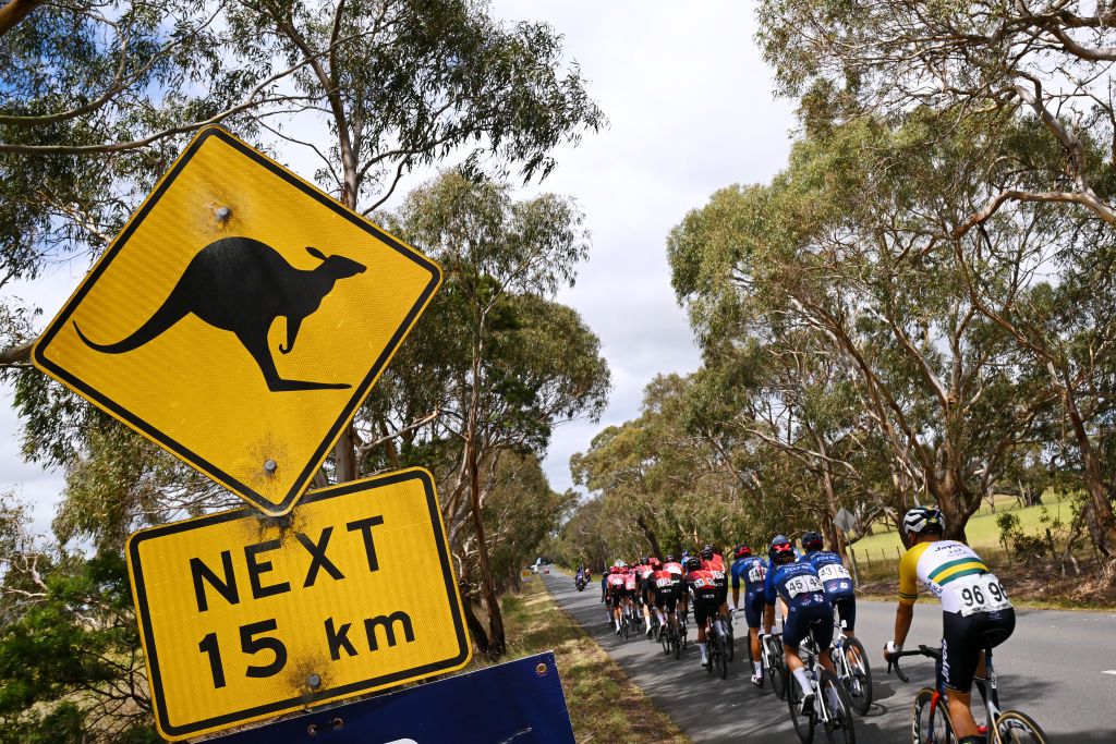 The Peloton passes a kangaroo warning sign
