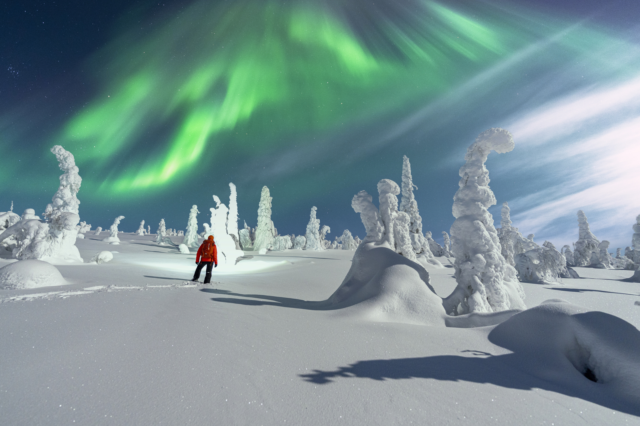 Hiker watching the bright sky with Northern Lights standing in a winter snowy forest lit by moon, Lapland, Finland