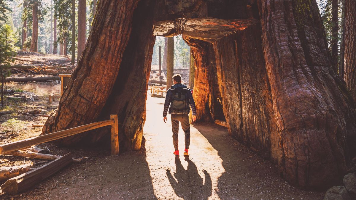 a photo of a man walking in yosemite national park 