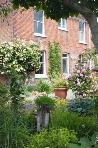 rose arch and climbing roses at front of Victorian house