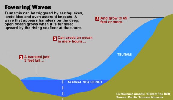 How tsunamis grow larger at the shore.