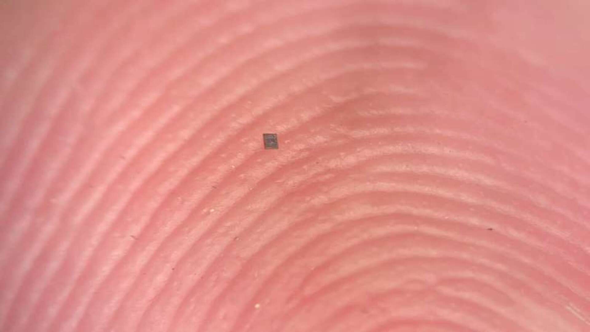 This autonomous solar-powered robot costs 1p, is smaller than a grain of salt, and communicates through 'wiggles of a little dance'