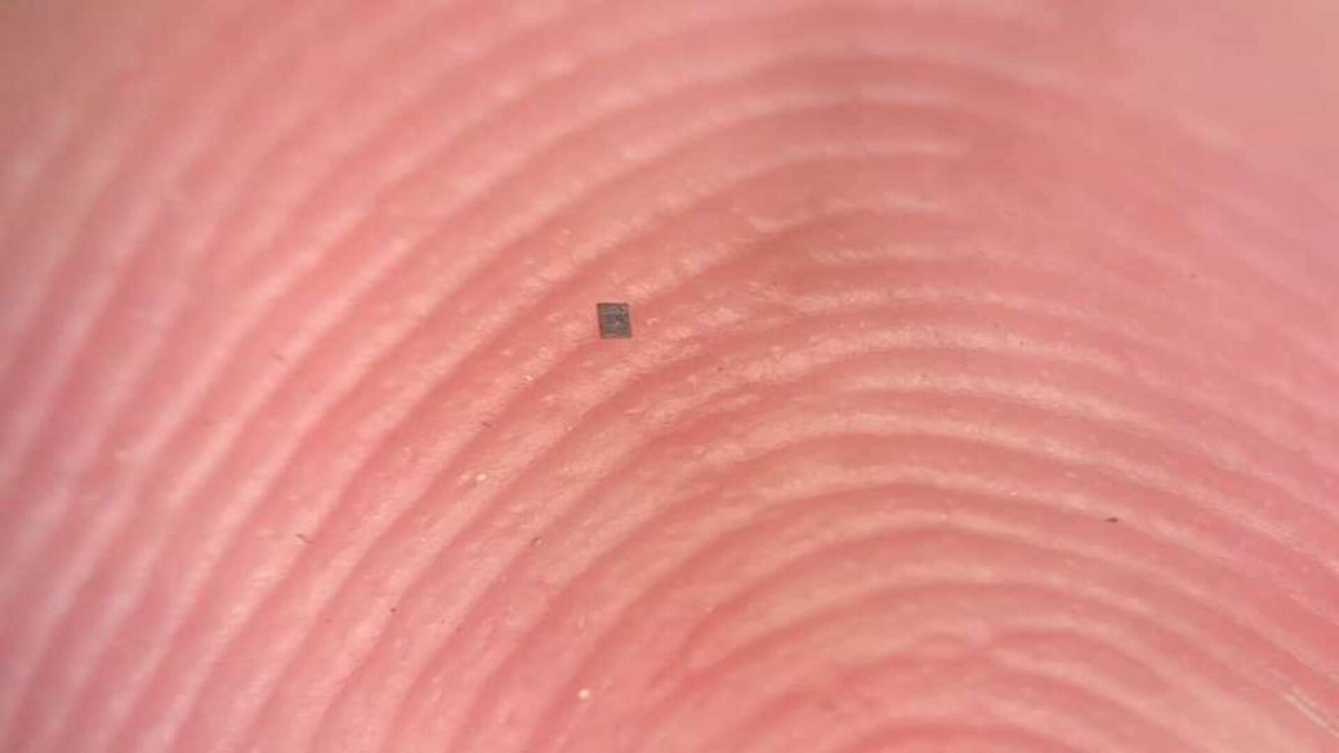 This autonomous solar-powered robot costs 1p, is smaller than a grain of salt, and communicates through 'wiggles of a little dance'