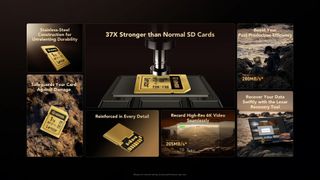 Multi-image graphic showing features of Lexar Armor Gold cards