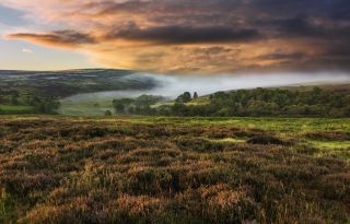 misty Yorkshire Moors, England