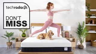 Panda Hybrid Bamboo Mattress