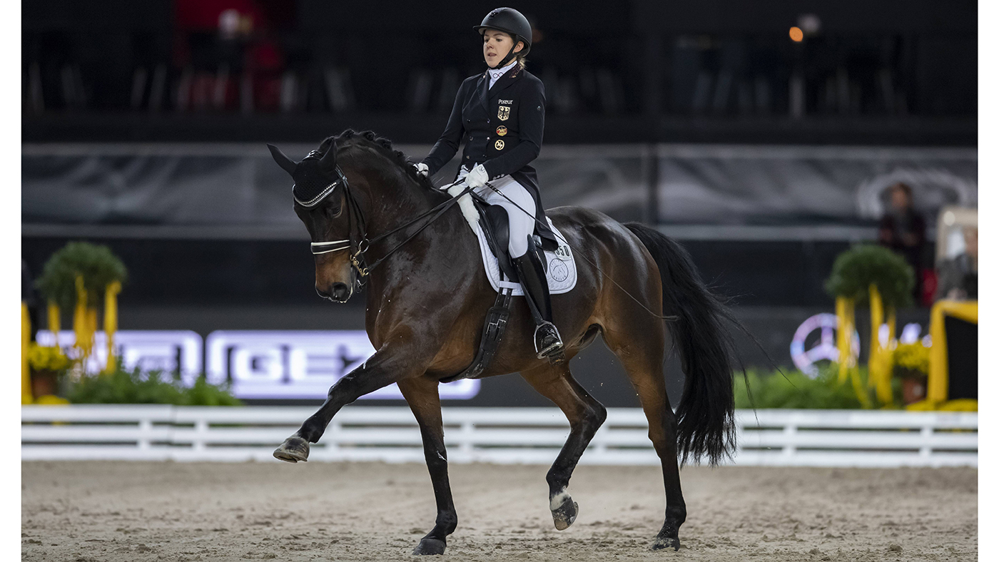 Stuttgart - German Masters 2018, ABBELEN Anna-Christina (GER), Henny Hennessy Stuttgart - German Masters 2018 Grand Prix de Dressage Piff F&amp;circ;rderpreis Finalpr&amp;cedil;fung 16. November 2018 &amp;not;&amp;copy; - *** Stuttgart German Masters 2018 ABBELEN Anna Christina GER Henny Hennessy Stuttgart German Masters 2018 Grand Prix de Dressage Piff Promotion Prize Final Examination 16 November 2018 &amp;not;&amp;copy;.