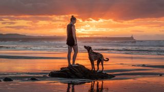 Dog and owner on beach at sunset at pet-friendly vacation destination