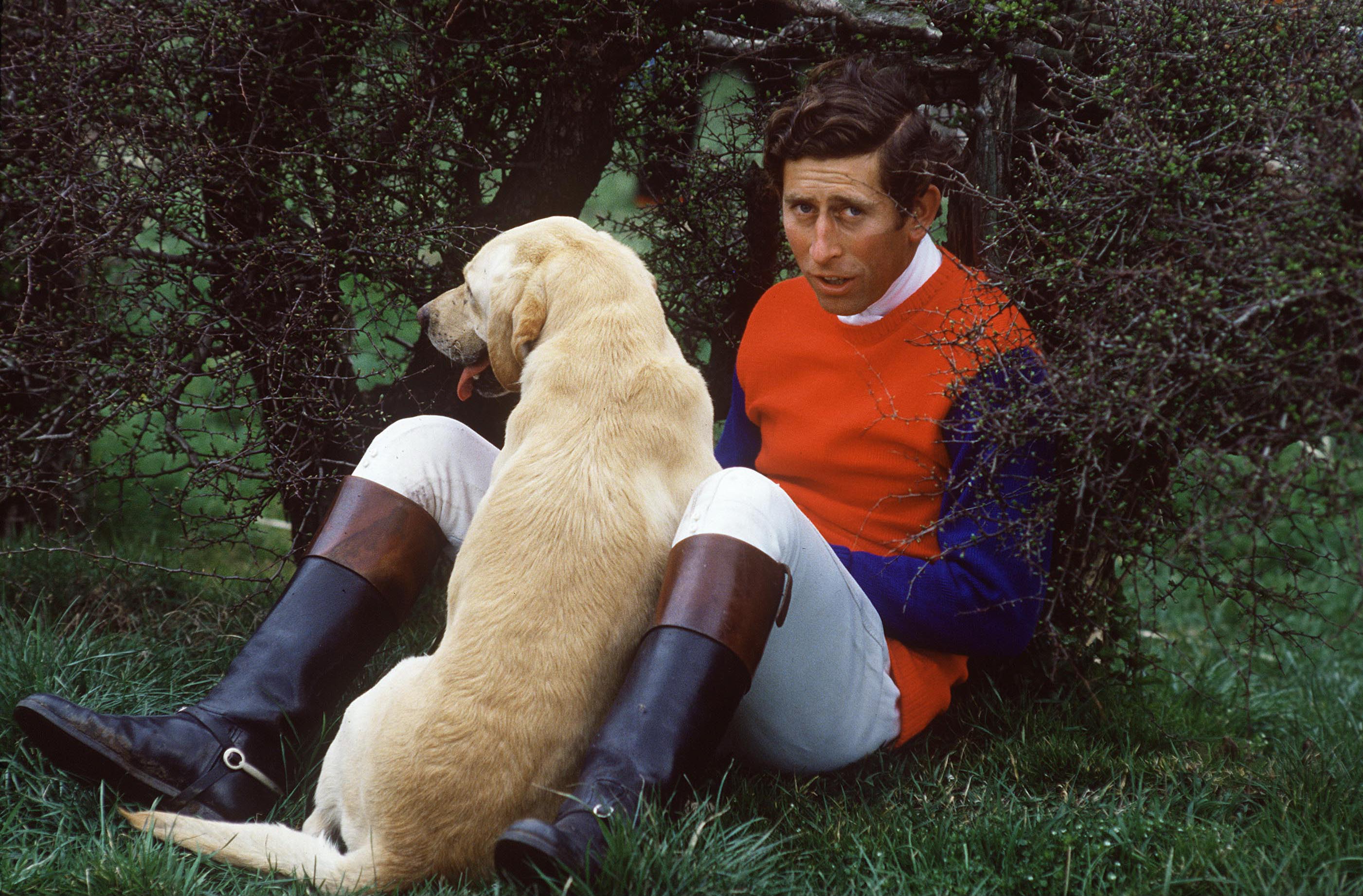 Prince Charles sitting on the ground with his yellow lab, Harvey