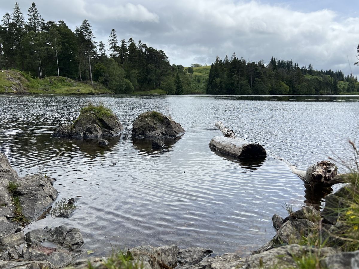 iOS 18.1 Clean up sample