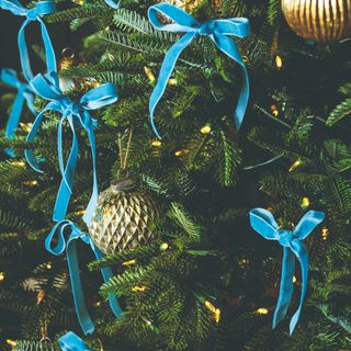 A Christmas tree decorates with blue velvet ribbons and gold baubles