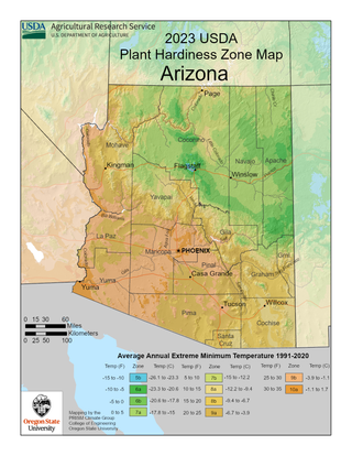 2023 USDA Plant Hardiness Zone Map for Arizona