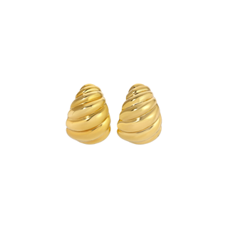 Shell Gold Earrings