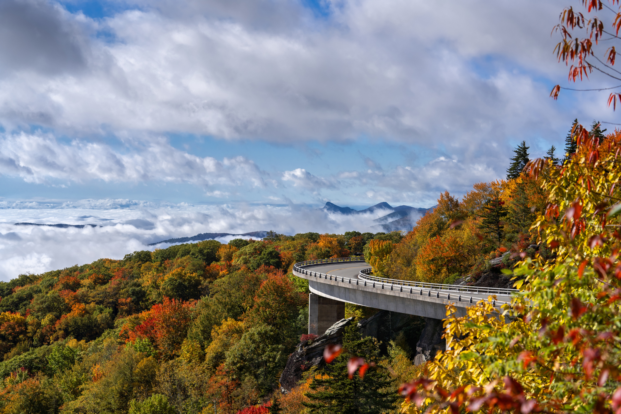 Linn Cove Viaduct on Blue Ridge Parkway in autumn foliage forest . Close to Asheville , Blue Ridge Parkway, North Carolina, USA.