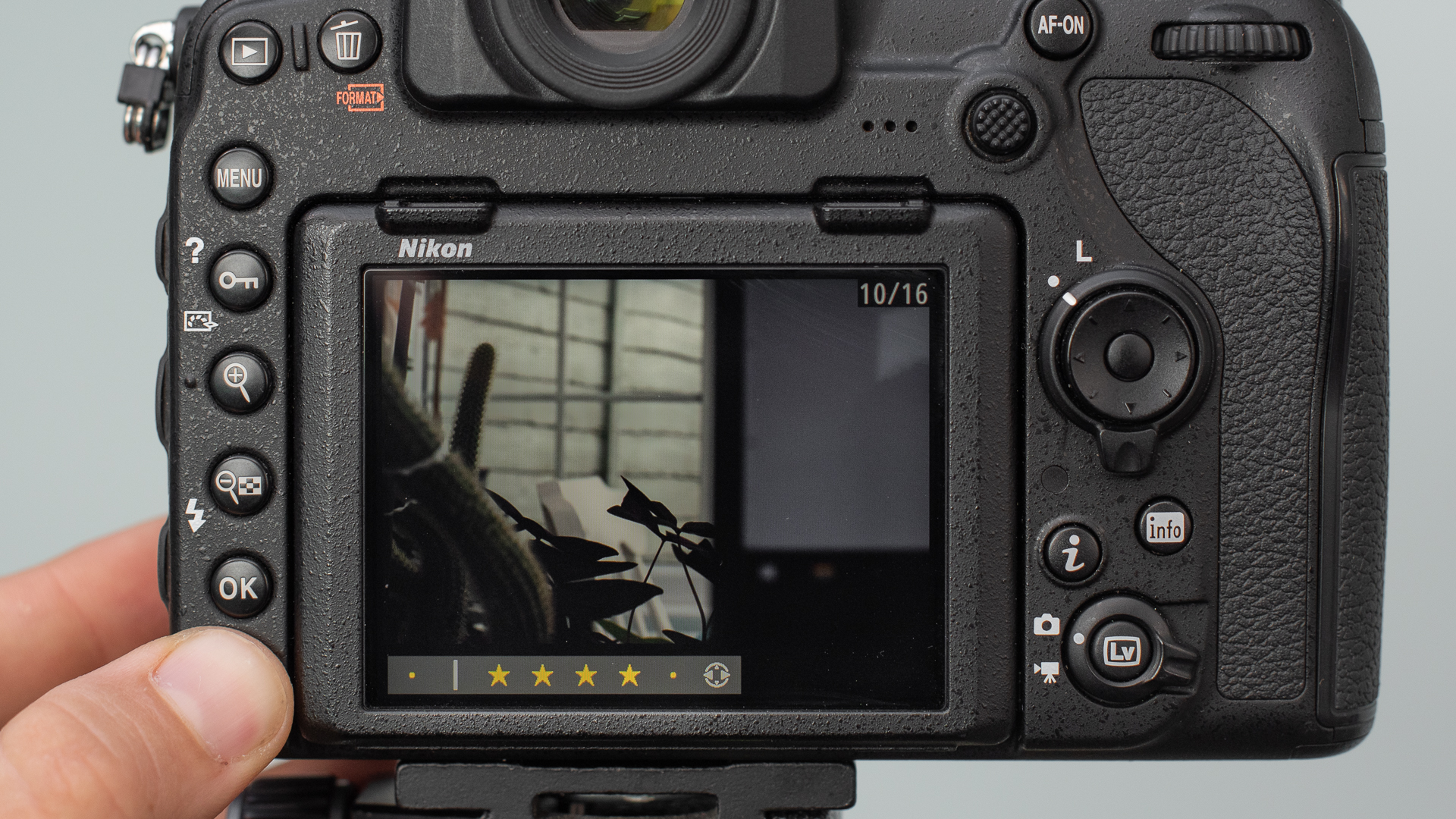 Image shows the Nikon D850 viewfinder screen