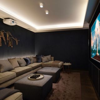 home cinema with navy paint