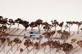 The plans show a miniature version of the home with the dark black home in the middle of a forest