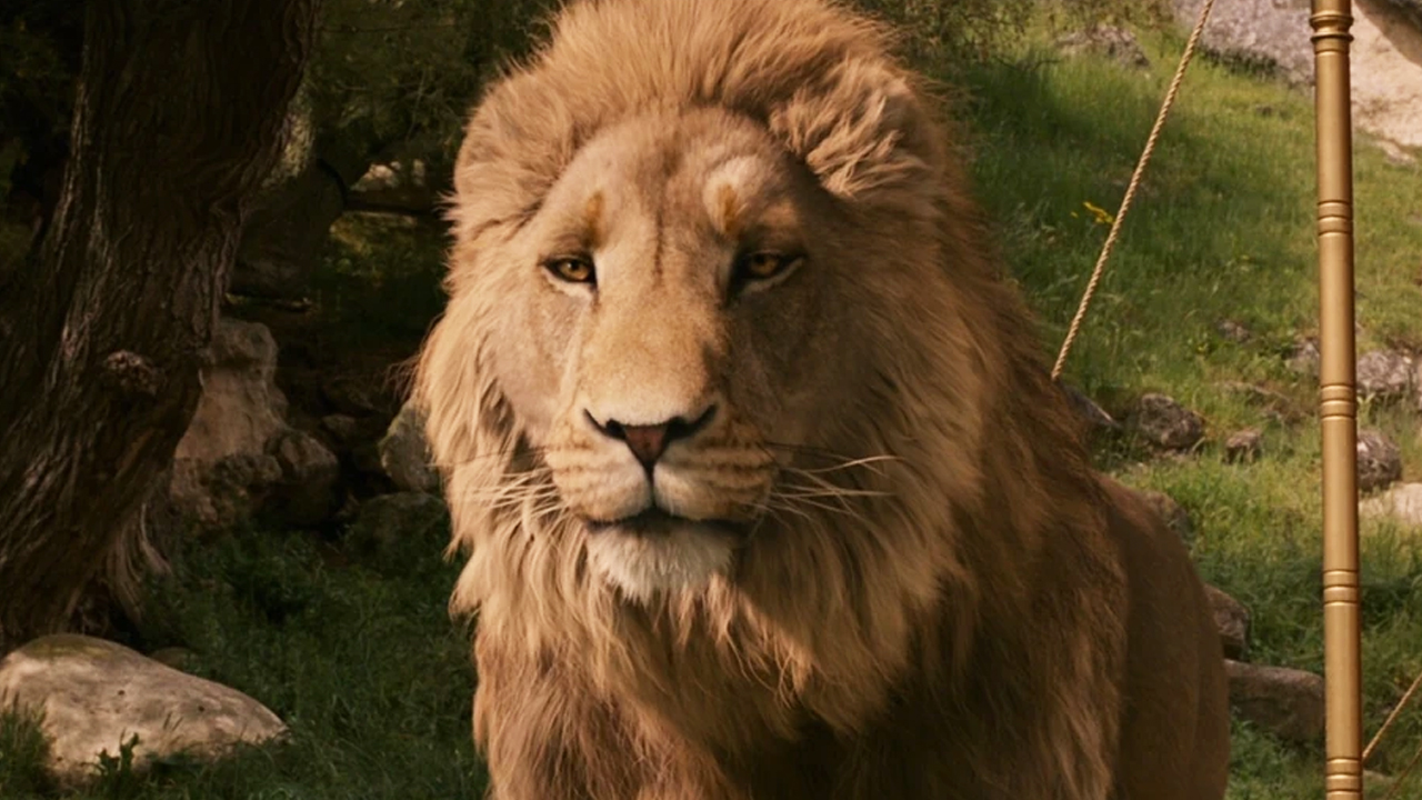 Aslan the Lion from Disney's 2005 The Lion, The Witch, and The Wardrobe