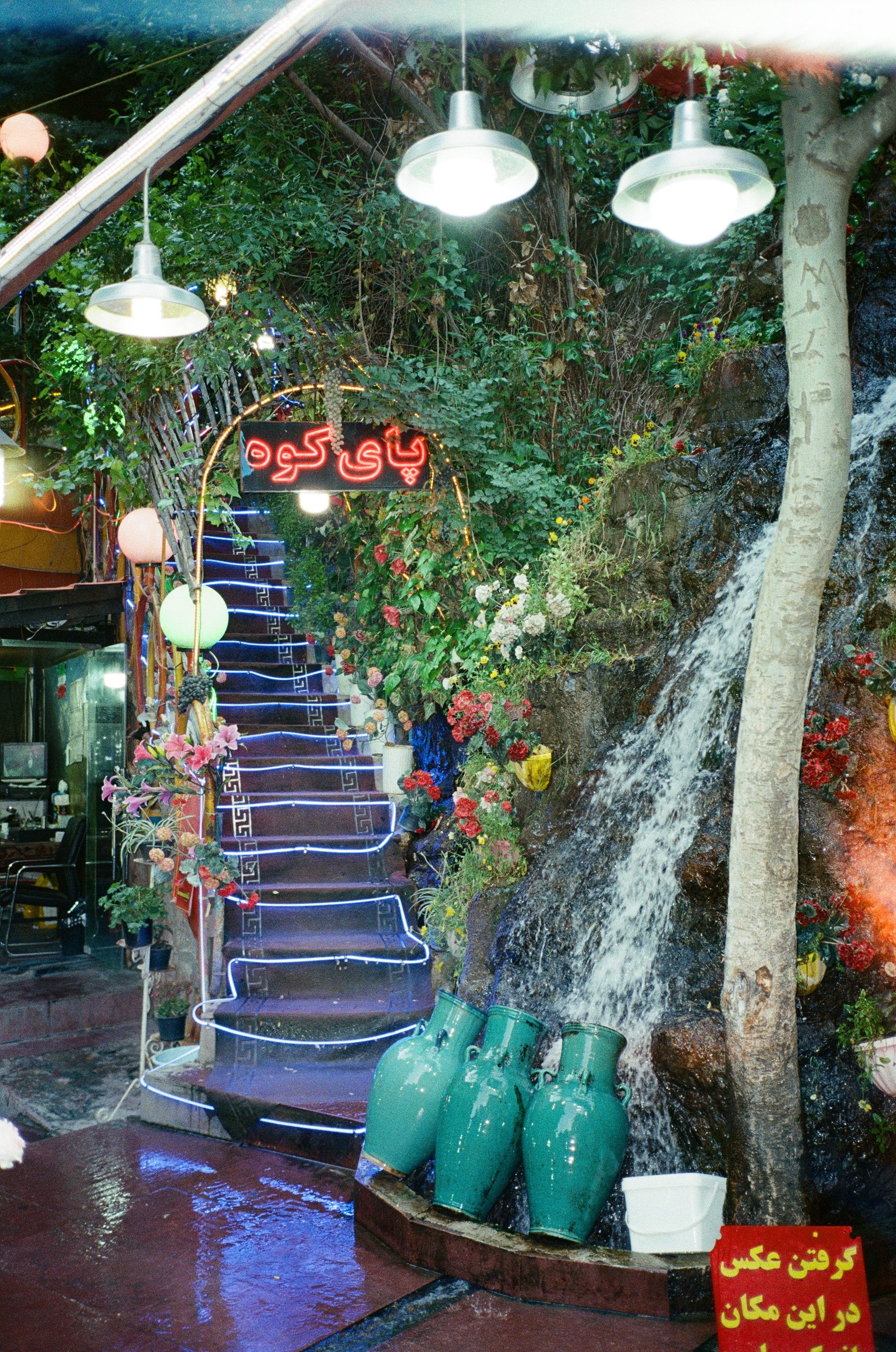 A photograph from *Roxana's last trip to Iran in 2024.