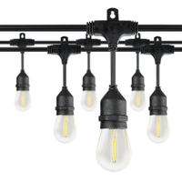 Honeywell 48-ft String Lights: was $71 now $27 @ Lowe's