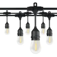 Honeywell 48-ft String Lights