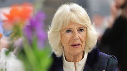 Duchess Camilla reveals royal obsession