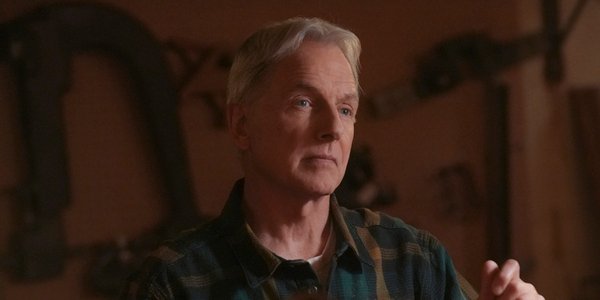 ncis season 16 perennial cbs gibbs