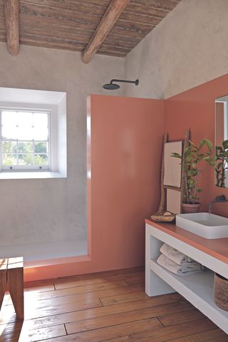 Bathroom with pink walled shower enclosure