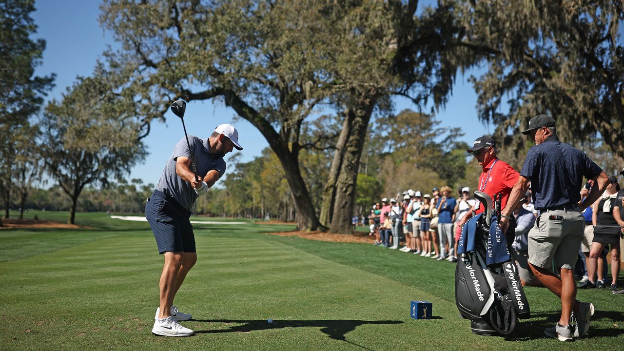 Scottie Scheffler hits a 3-wood underneath the new oak tree on the sixth hole at TPC Sawgrass&#039; Stadium Course