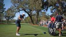 Scottie Scheffler hits a 3-wood underneath the new oak tree on the sixth hole at TPC Sawgrass' Stadium Course