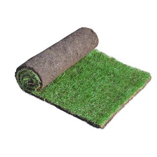 Lawn Turf, 25m² Pack