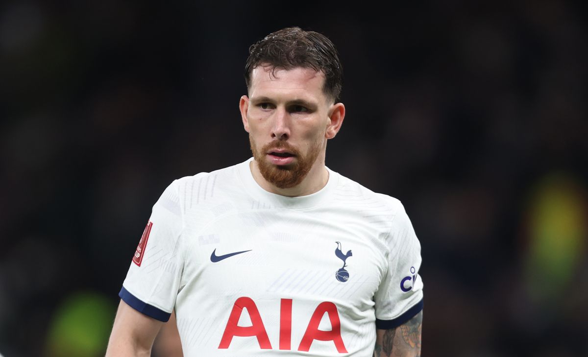 Tottenham midfielder Pierre-Emile Hojbjerg.