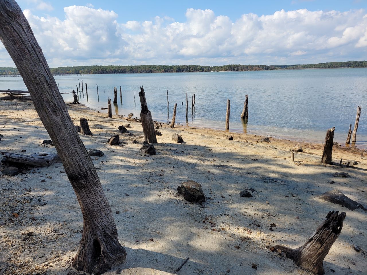 Samsung Galaxy S20 FE review camera samples